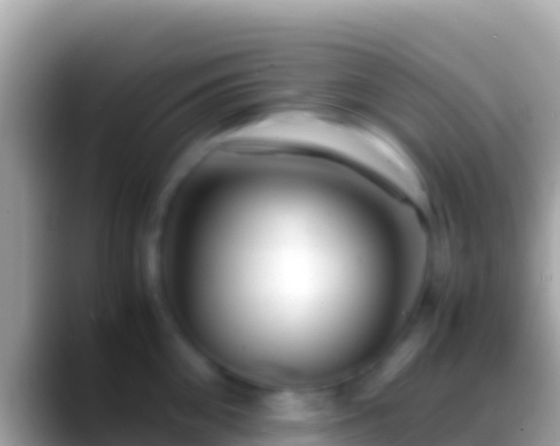 X0000088660906200706011237