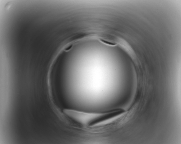 X0000088660907200706011237