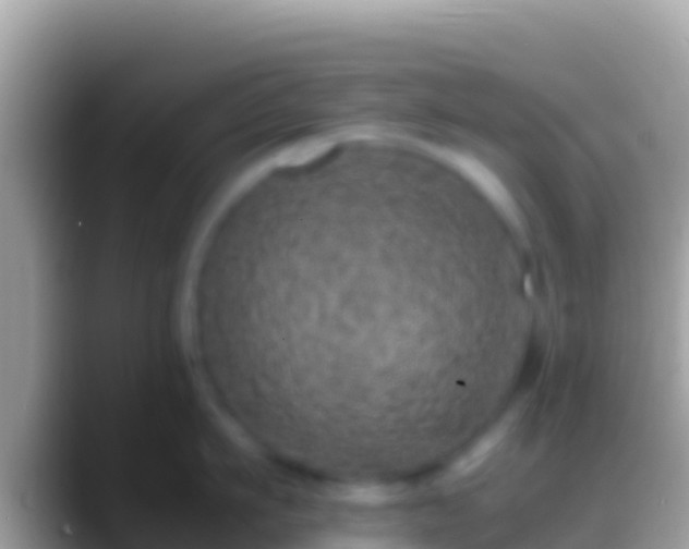 X0000088660911200706011237