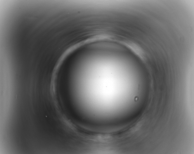 X0000088660912200706011237