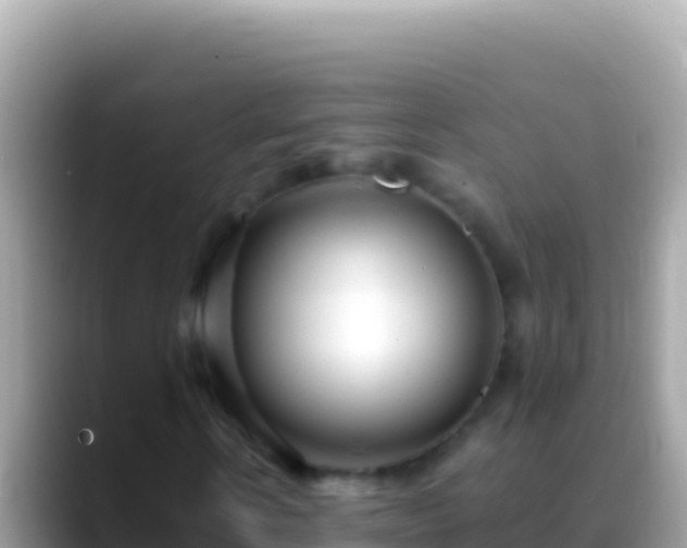 X0000088660914200706011237