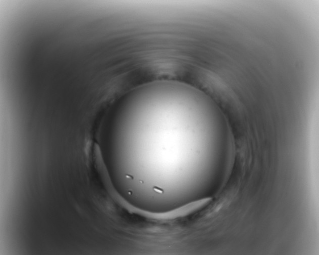 X0000088660916200706011237