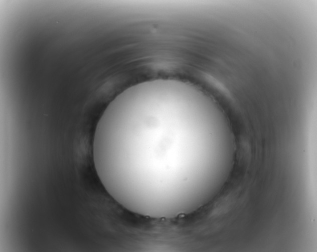 X0000088660918200706011237