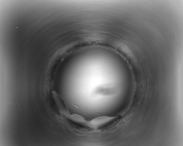 X0000088660920200706011237