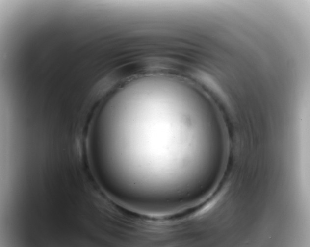 X0000088660921200706011237