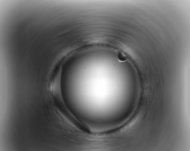 X0000088660922200706011237