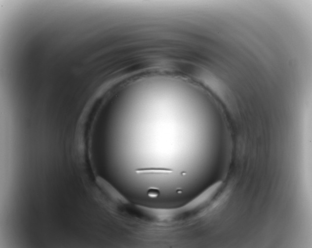 X0000088660923200706011237