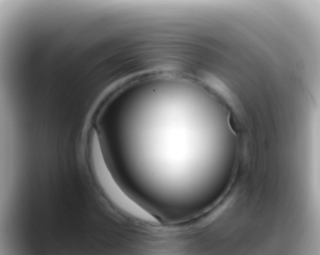 X0000088660924200706011237