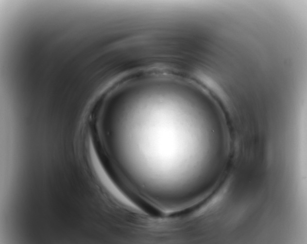 X0000088660925200706011237