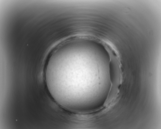 X0000088660928200706011237