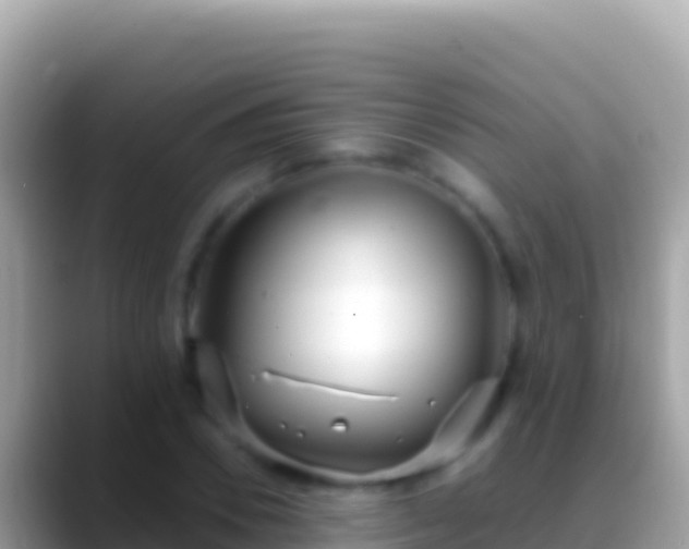 X0000088660930200706011237