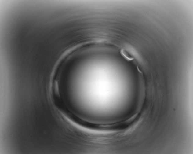 X0000088660932200706011237