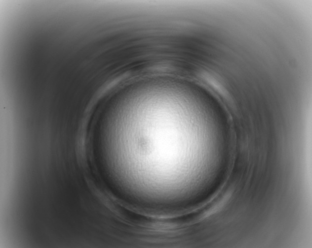 X0000088660933200706011237