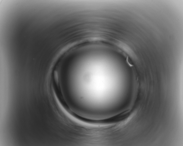 X0000088660934200706011237