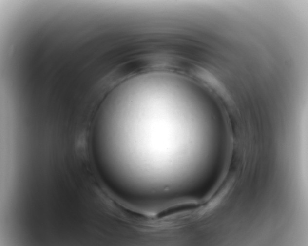 X0000088660937200706011237