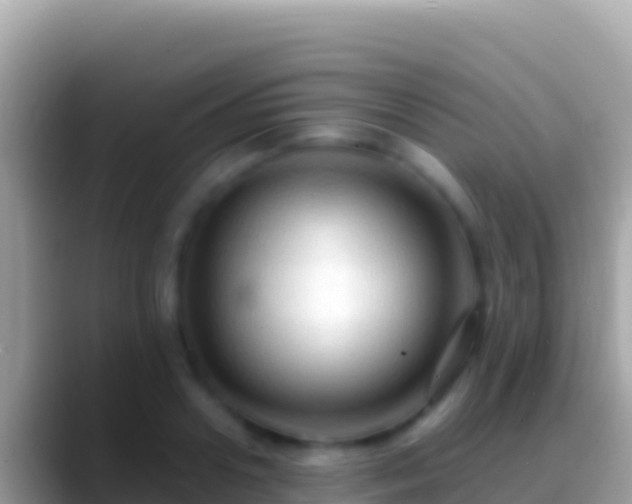 X0000088660938200706011237