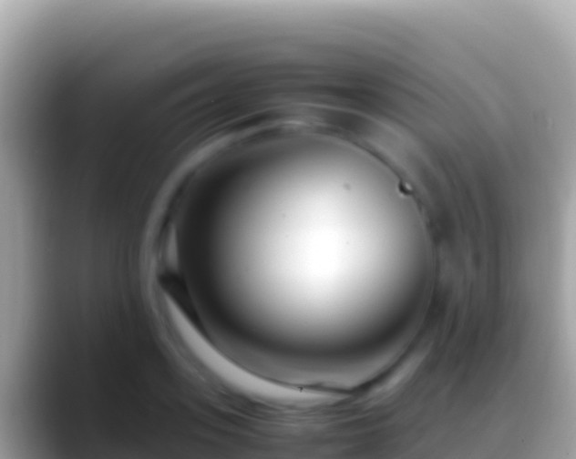 X0000088660939200706011237