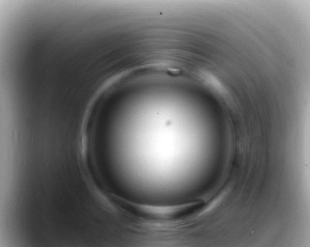 X0000088660940200706011237