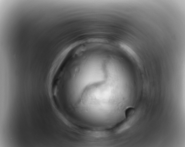 X0000088660941200706011237