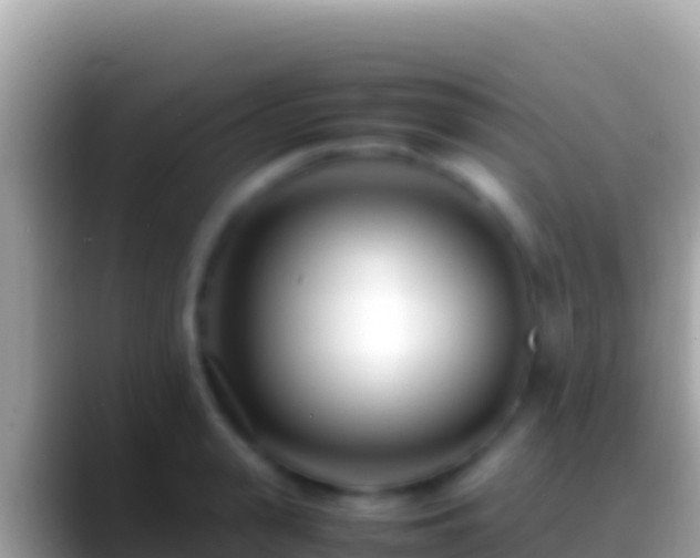 X0000088660943200706011237