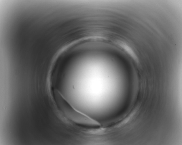 X0000088660944200706011237