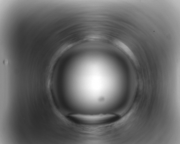 X0000088660946200706011237