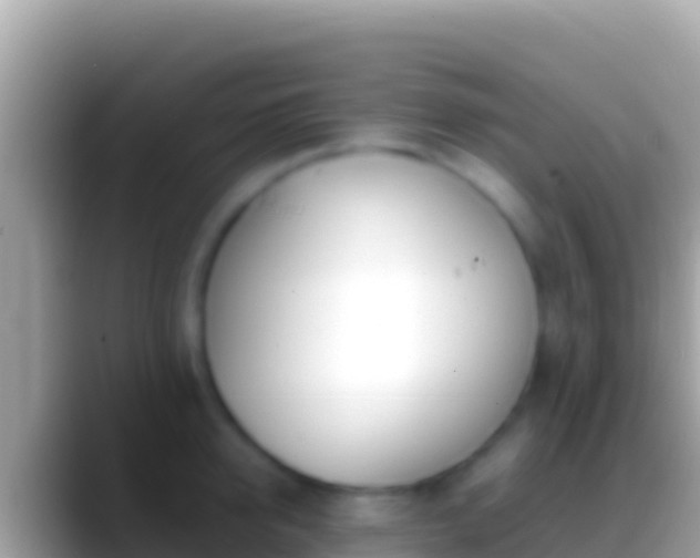 X0000088660950200706011237