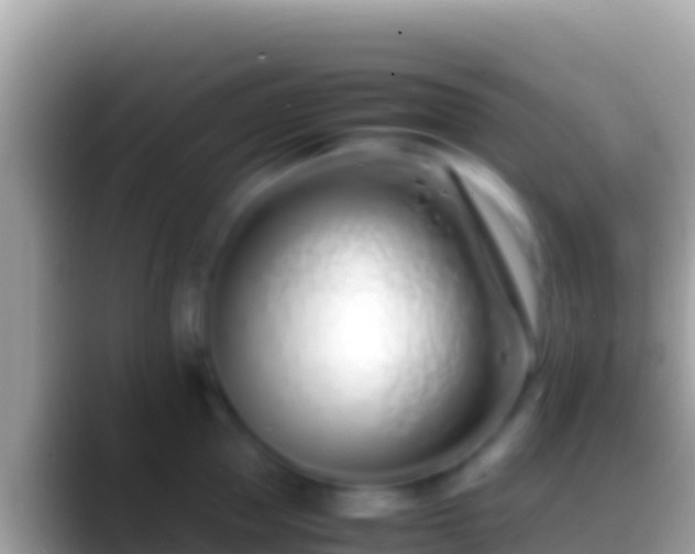 X0000088660953200706011237