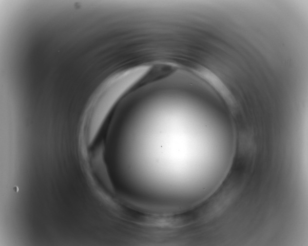 X0000088660955200706011237