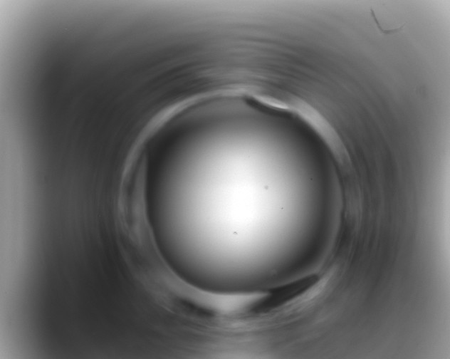 X0000088660956200706011237