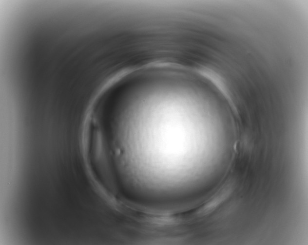 X0000088660957200706011237