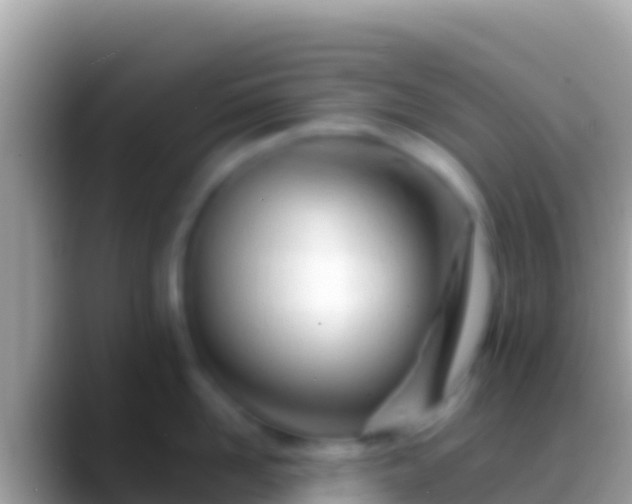 X0000088660958200706011237