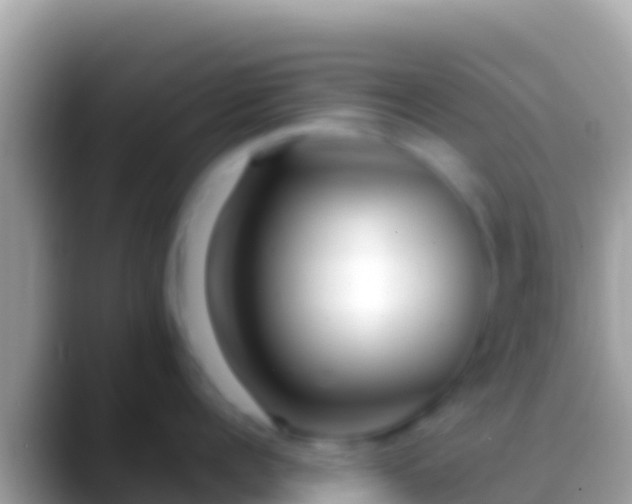 X0000088660960200706011237