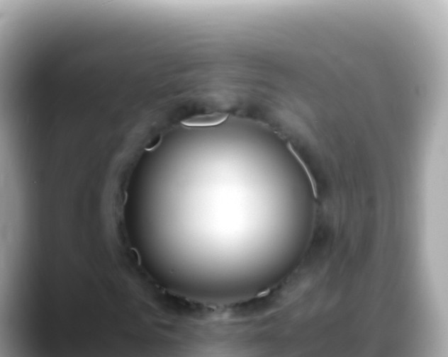 X0000088660961200706011237