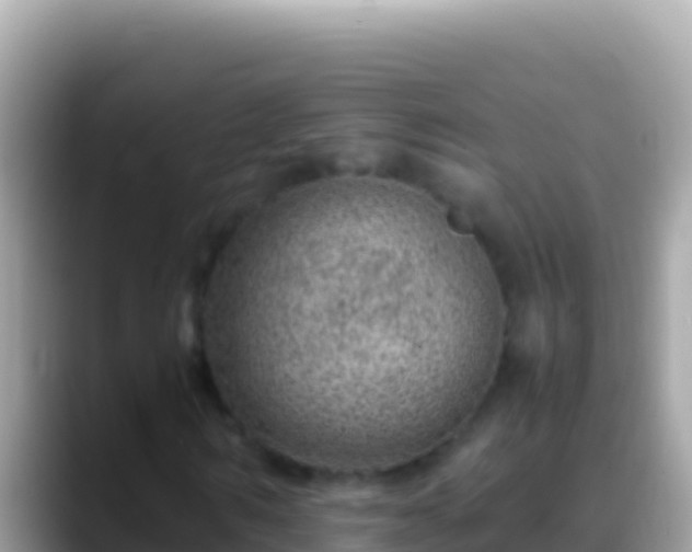 X0000088660962200706011237