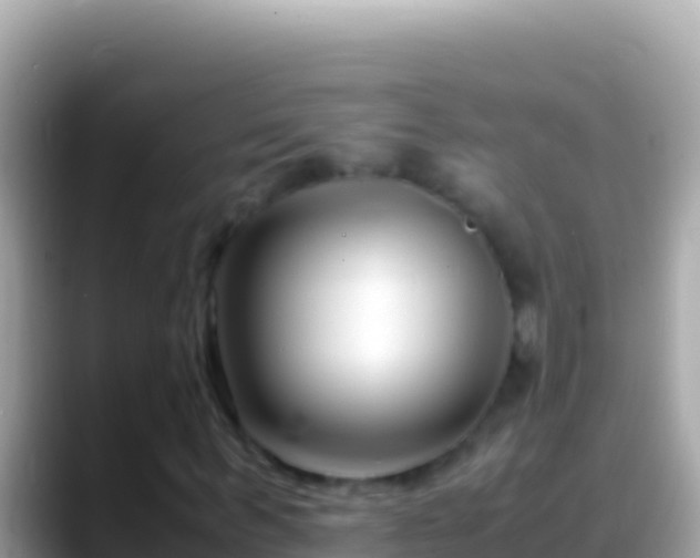 X0000088660963200706011237