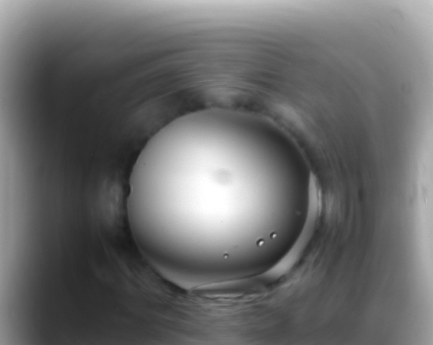 X0000088660964200706011237