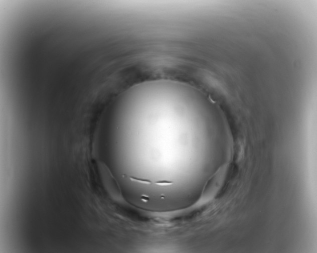 X0000088660965200706011237