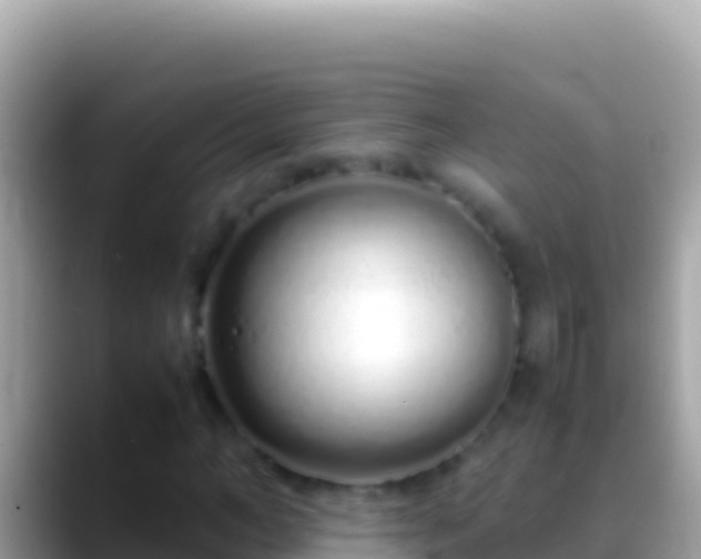 X0000088660966200706011237