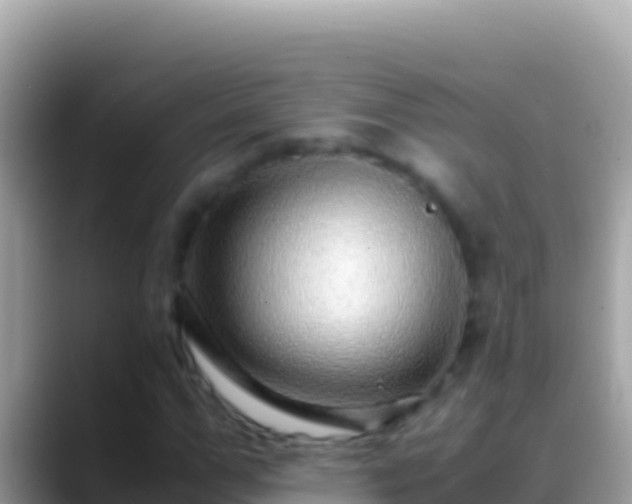 X0000088660967200706011237