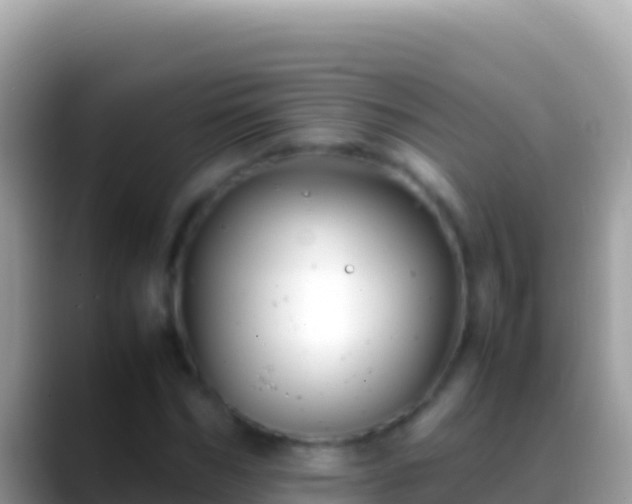 X0000088660970200706011237