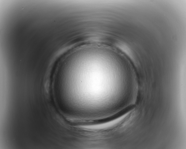 X0000088660971200706011237