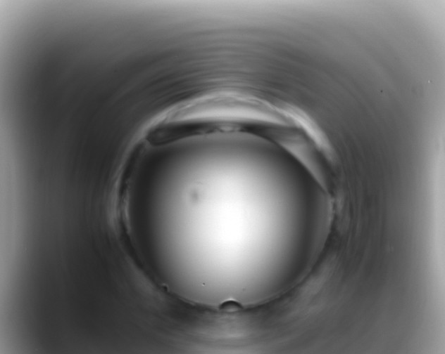 X0000088660972200706011236