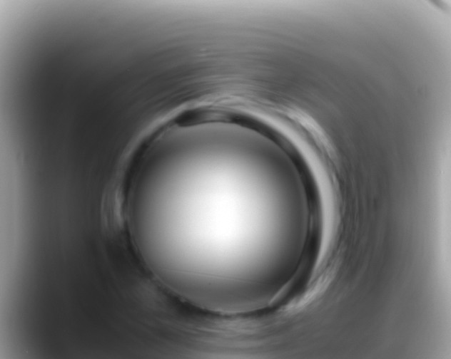 X0000088660973200706011236