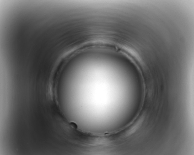 X0000088660974200706011236