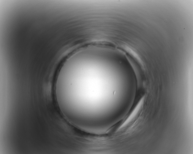 X0000088660975200706011236