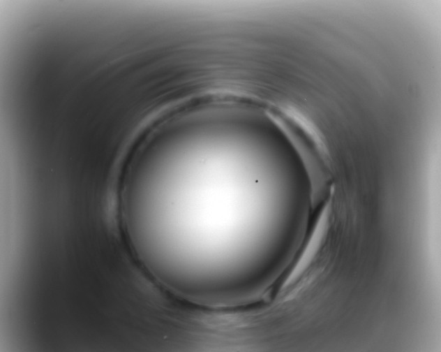 X0000088660976200706011236