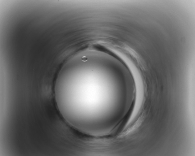 X0000088660977200706011236