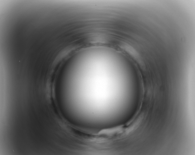 X0000088660978200706011236