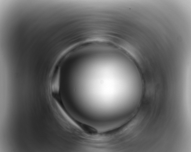 X0000088660980200706011236